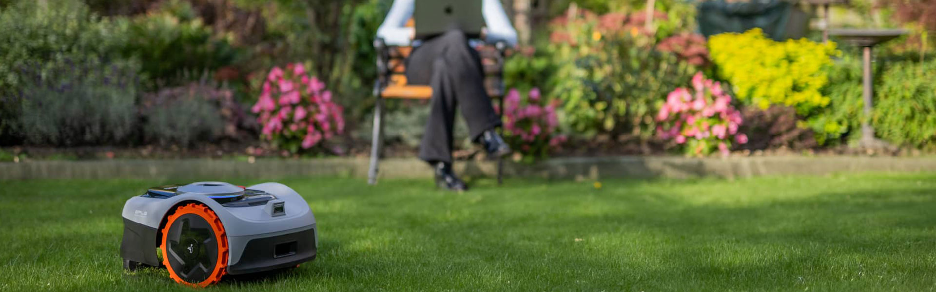 Mähroboter in Aktion